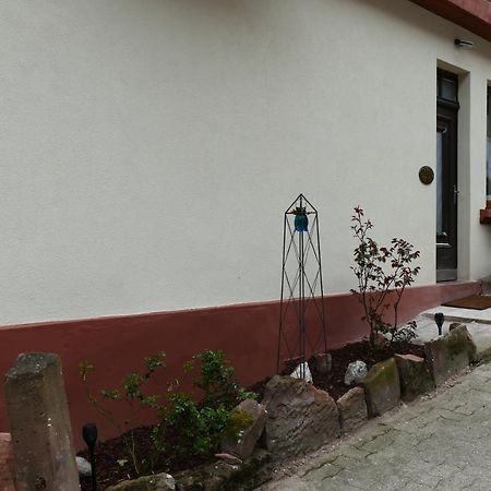 Le Gite Des Sources: Nature, Randonnees, Detente. Oberbronn エクステリア 写真