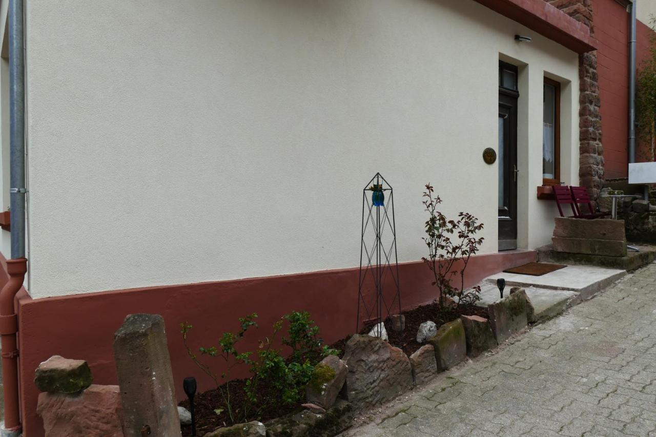 Le Gite Des Sources: Nature, Randonnees, Detente. Oberbronn エクステリア 写真