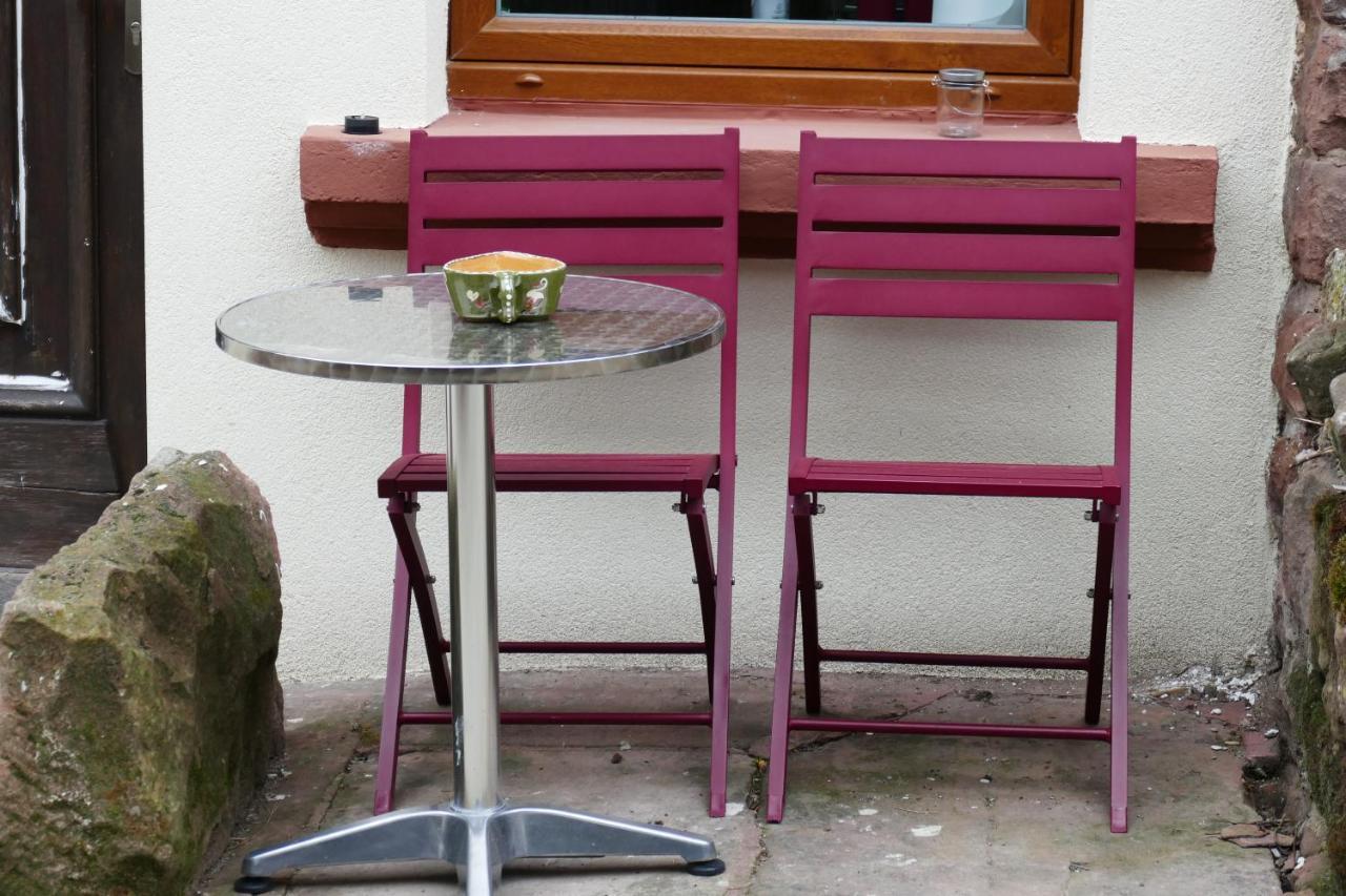 Le Gite Des Sources: Nature, Randonnees, Detente. Oberbronn エクステリア 写真